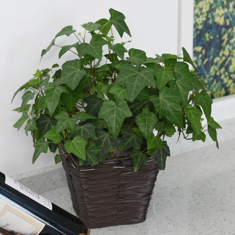 柳风收纳，客厅收纳柳编筐