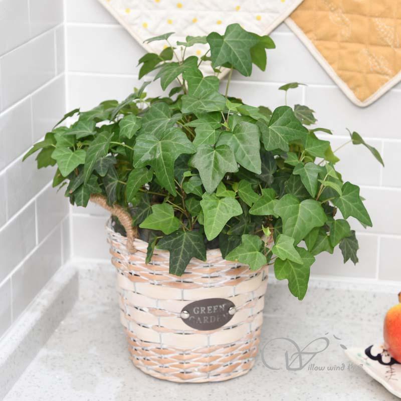 柳风收纳，客厅收纳柳编筐