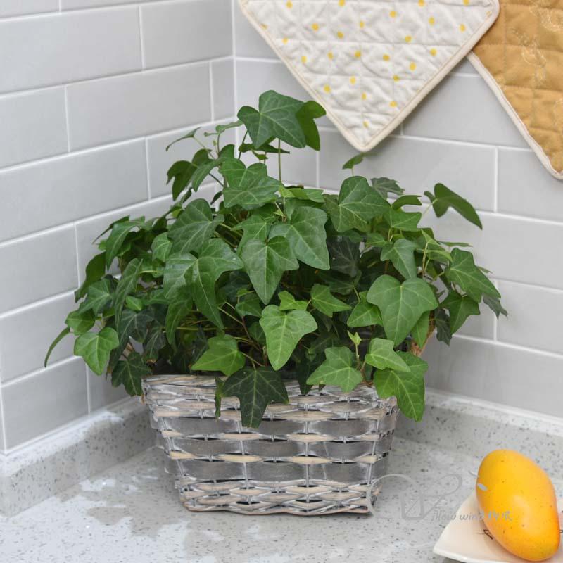 柳风收纳，客厅收纳柳编筐